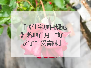 《住宅项目规范》落地首月 “好房子”受青睐