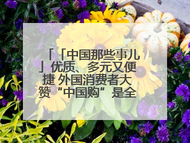 「中国那些事儿」优质、多元又便捷 外国消费者大赞“中国购”是全新体验！