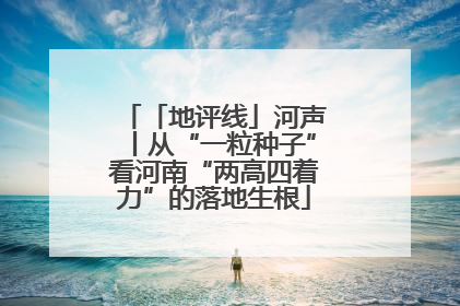 「地评线」河声丨从“一粒种子”看河南“两高四着力”的落地生根