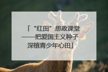 “红田”思政课堂——把爱国主义种子深植青少年心田