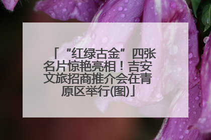 “红绿古金”四张名片惊艳亮相！吉安文旅招商推介会在青原区举行(图)