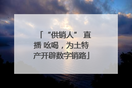“供销人” 直播 吆喝，为土特产开辟数字销路