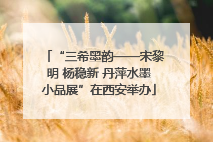 “三希墨韵——宋黎明 杨稳新 丹萍水墨小品展”在西安举办