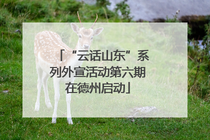 “云话山东”系列外宣活动第六期在德州启动
