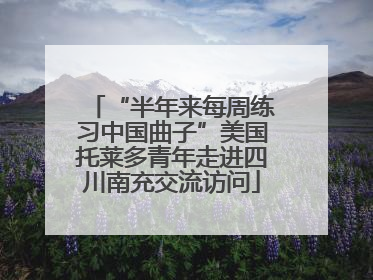 “半年来每周练习中国曲子”美国托莱多青年走进四川南充交流访问
