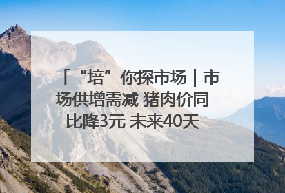 “培”你探市场｜市场供增需减 猪肉价同比降3元 未来40天便宜猪肉敞开吃
