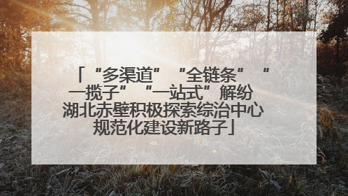 “多渠道”“全链条”“一揽子”“一站式”解纷 湖北赤壁积极探索综治中心规范化建设新路子