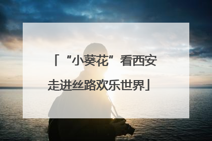 “小葵花”看西安走进丝路欢乐世界