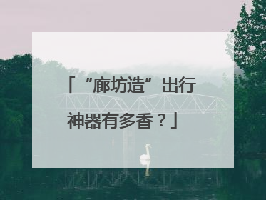 “廊坊造”出行神器有多香？
