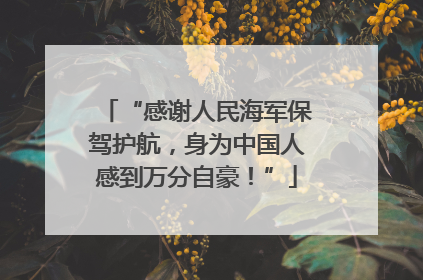 “感谢人民海军保驾护航，身为中国人感到万分自豪！”