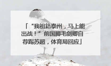 “我祖籍泰州，马上能出战！”前国脚毛剑卿自荐踢苏超，体育局回应