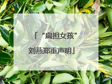 “扁担女孩”刘燕郑重声明