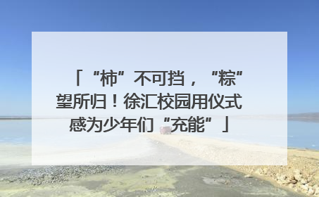 “柿”不可挡，“粽”望所归！徐汇校园用仪式感为少年们“充能”