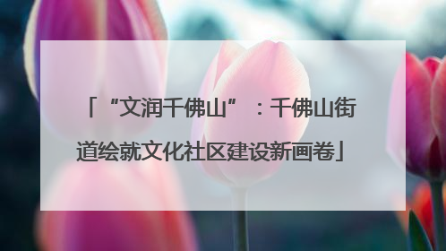 “文润千佛山”：千佛山街道绘就文化社区建设新画卷