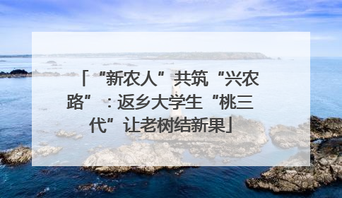 “新农人”共筑“兴农路”：返乡大学生“桃三代”让老树结新果