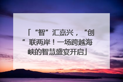 “智”汇嘉兴，“创”联两岸！一场跨越海峡的智慧盛宴开启