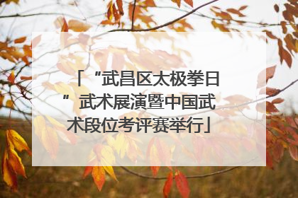 “武昌区太极拳日”武术展演暨中国武术段位考评赛举行