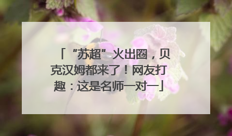 “苏超”火出圈，贝克汉姆都来了！网友打趣：这是名师一对一