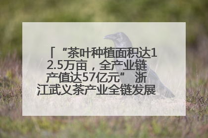 “茶叶种植面积达12.5万亩，全产业链产值达57亿元” 浙江武义茶产业全链发展“加速度”