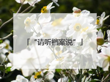 “请听档案说”