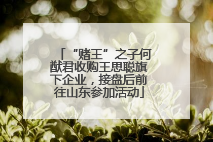 “赌王”之子何猷君收购王思聪旗下企业，接盘后前往山东参加活动