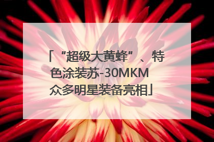 “超级大黄蜂”、特色涂装苏-30MKM 众多明星装备亮相