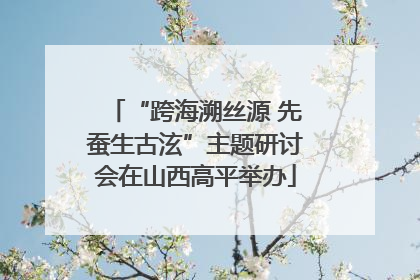 “跨海溯丝源 先蚕生古泫”主题研讨会在山西高平举办
