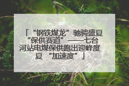 “钢铁煤龙”驰骋盛夏 “保供赛道”——七台河站电煤保供跑出迎峰度夏 “加速度”