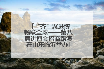 “齐”聚进博 畅联全球——第八届进博会招商路演在山东临沂举办