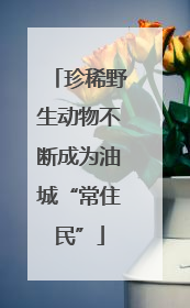 珍稀野生动物不断成为油城“常住民”