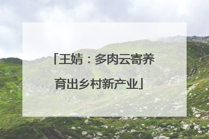 王婧：多肉云寄养 育出乡村新产业