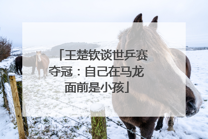 王楚钦谈世乒赛夺冠：自己在马龙面前是小孩