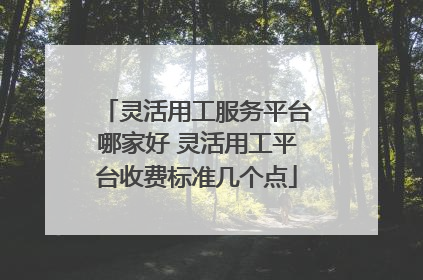 灵活用工服务平台哪家好 灵活用工平台收费标准几个点