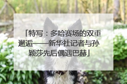特写：多哈赛场的双重邂逅——新华社记者与孙颖莎先后偶遇巴赫