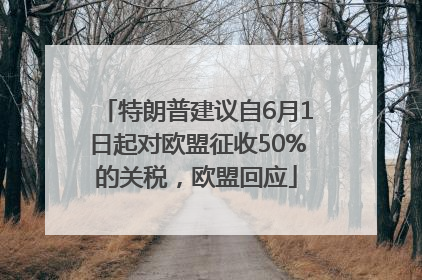 特朗普建议自6月1日起对欧盟征收50%的关税，欧盟回应