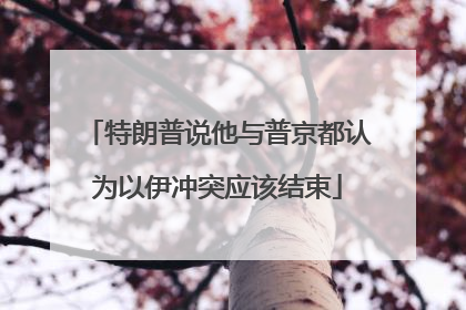 特朗普说他与普京都认为以伊冲突应该结束