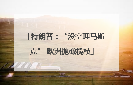 特朗普：“没空理马斯克” 欧洲抛橄榄枝