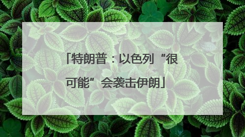 特朗普：以色列“很可能”会袭击伊朗