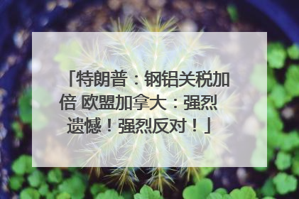 特朗普：钢铝关税加倍 欧盟加拿大：强烈遗憾！强烈反对！