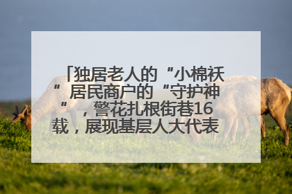 独居老人的“小棉袄”居民商户的“守护神”，警花扎根街巷16载，展现基层人大代表的炽热情怀