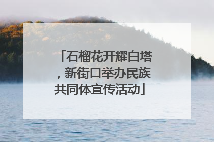 石榴花开耀白塔，新街口举办民族共同体宣传活动
