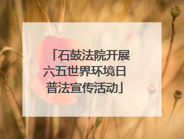 石鼓法院开展六五世界环境日普法宣传活动