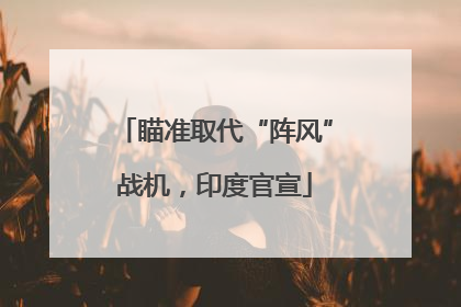 瞄准取代“阵风”战机，印度官宣