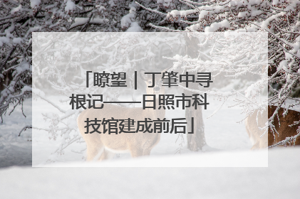 瞭望｜丁肇中寻根记——日照市科技馆建成前后