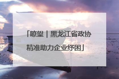瞭望｜黑龙江省政协精准助力企业纾困