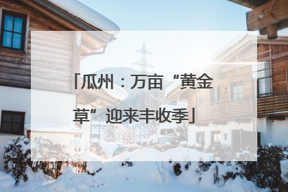 瓜州：万亩“黄金草”迎来丰收季