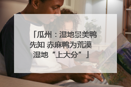 瓜州：湿地景美鸭先知 赤麻鸭为荒漠湿地“上大分”
