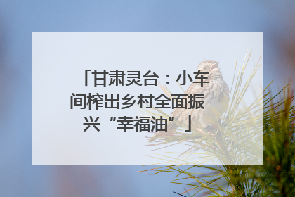 甘肃灵台：小车间榨出乡村全面振兴“幸福油”