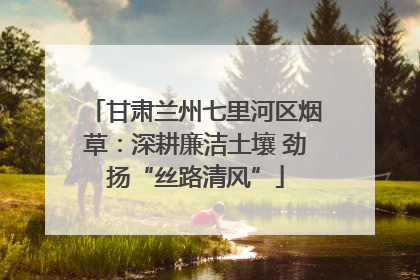 甘肃兰州七里河区烟草：深耕廉洁土壤 劲扬“丝路清风”