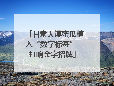 甘肃大漠蜜瓜植入“数字标签” 打响金字招牌